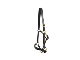 Headcollar leather - padded with nameplate