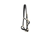 Headcollar leather - padded with nameplate CS black