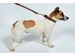 Dog leash  Fancy  stitched