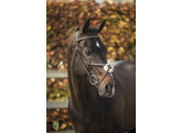 Bridle  New Pro  fig. 8 noseband -rubber grip reins - ss buckles - - ss buckles