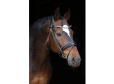 Bridle Limited browband Stellux rolled leather - CS black
