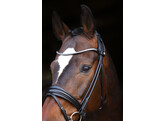 Bridle Limited browband Stellux rolled leather - CS black