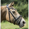 Bridle IRIS flash noseband