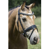 Bridle ANTRADO noseband with patent leather