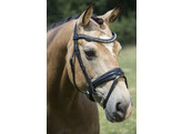 Bridle ANTRADO noseband with patent leather