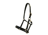 Headcollar leather - padded with nameplate PS black