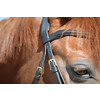 Bridle New Classic  flash noseband  web reins  brass buckles XFS black