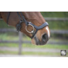 POLIDOR anatomical drop noseband