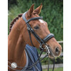 SUPERIOR Weymouth double bridle