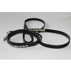 Dog collar and leash  Stones 