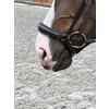 Drop noseband  chrome buckles