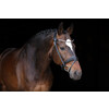 Bridle Limited browband Stellux rolled leather