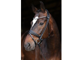 Bridle Limited browband Stellux rolled leather - PS black