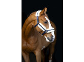 Nylon halter with sheepskin - Brown Pony