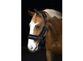 Halster nylon met vacht - Bruin Pony
