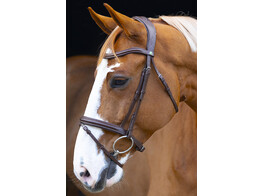 Bridle CLASSIC TOUCH