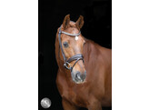 Bridle SERRENTO round stitched leather