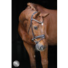 Bridle SERRENTO round stitched leather