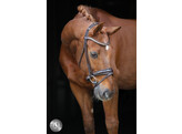 Bridle SERRENTO round stitched leather