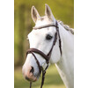 Bridle IRIS flash noseband