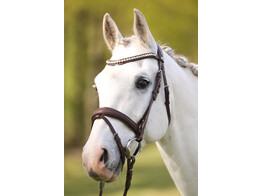 Bridle IRIS flash noseband