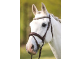 Bridle IRIS flash noseband