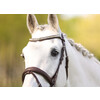 Bridle IRIS flash noseband