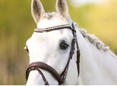 Bridle IRIS flash noseband