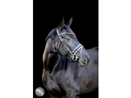 Pro Selected bridon Sunline Silver - muserolle dressage avec cuir vernie